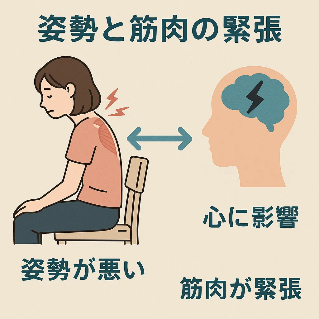 姿勢と筋肉の緊張の関係